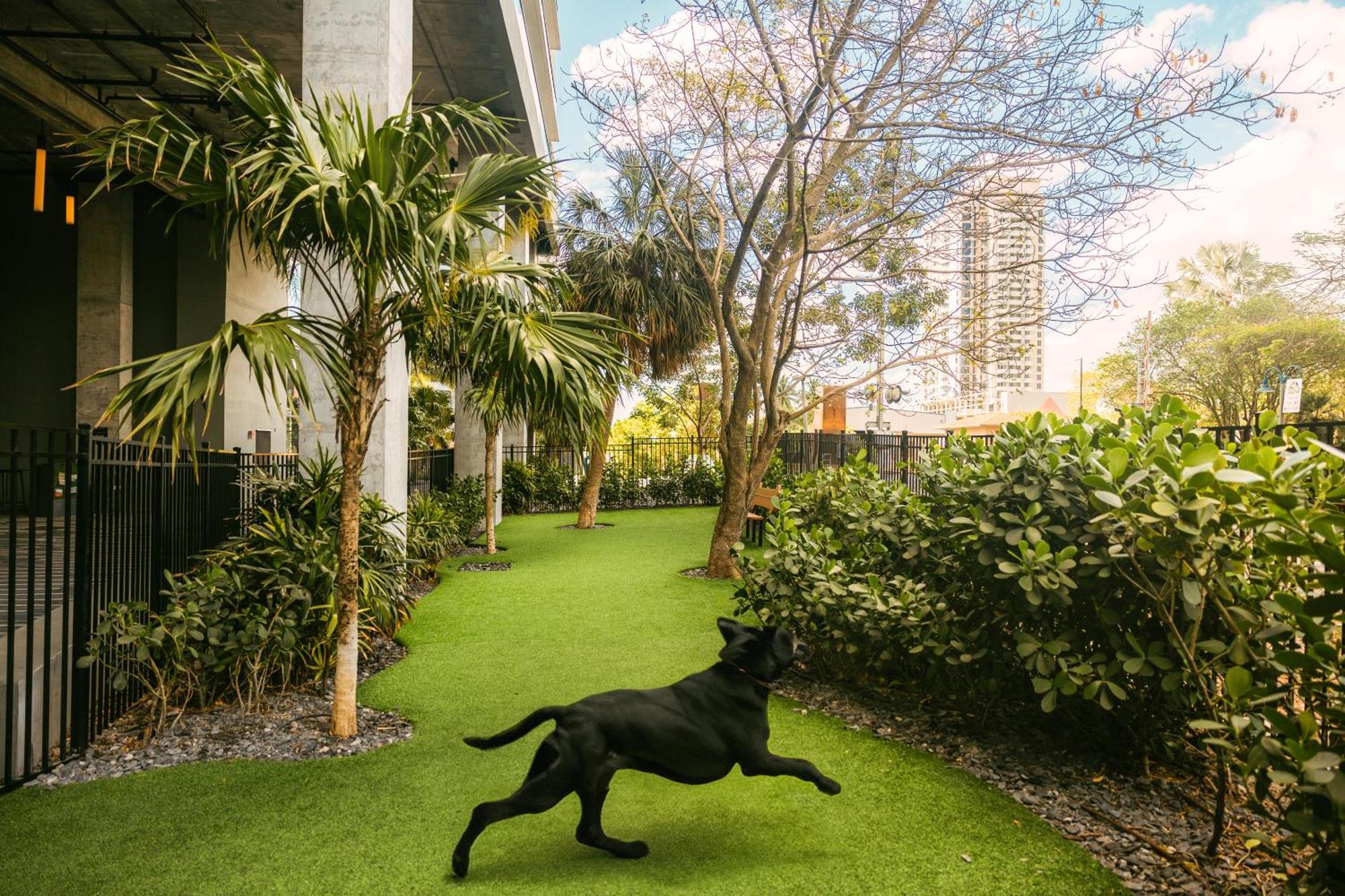 Flow Fort Lauderdale Hotel Eksteriør bilde
